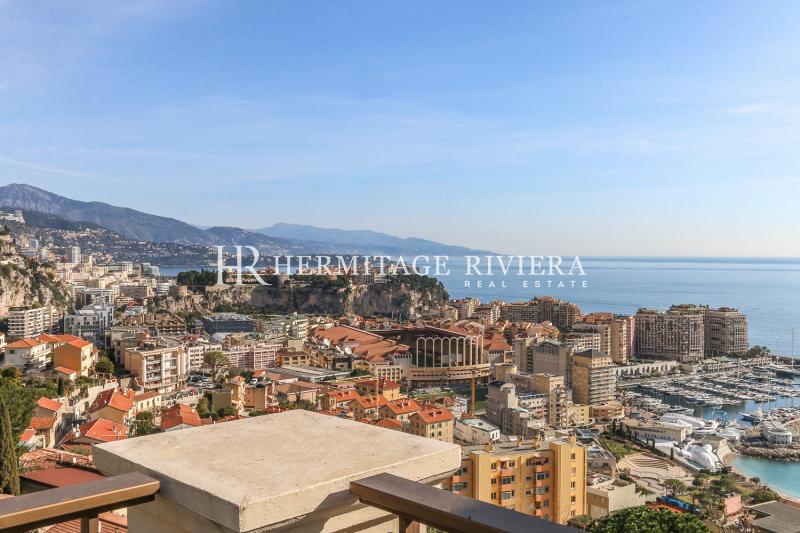 Appartement à rénover avec vue sur Monaco 