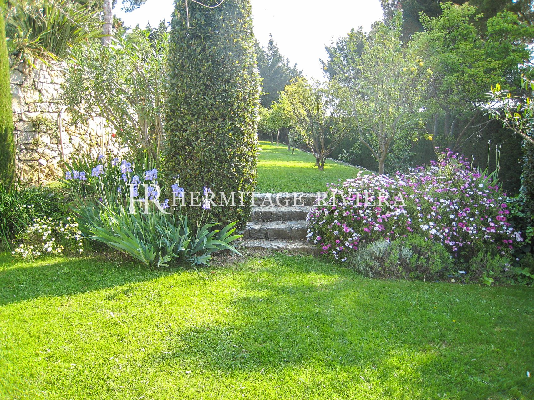 Splendida vista sul mare - Piscina - Giardino pianeggiante (immagine 22)