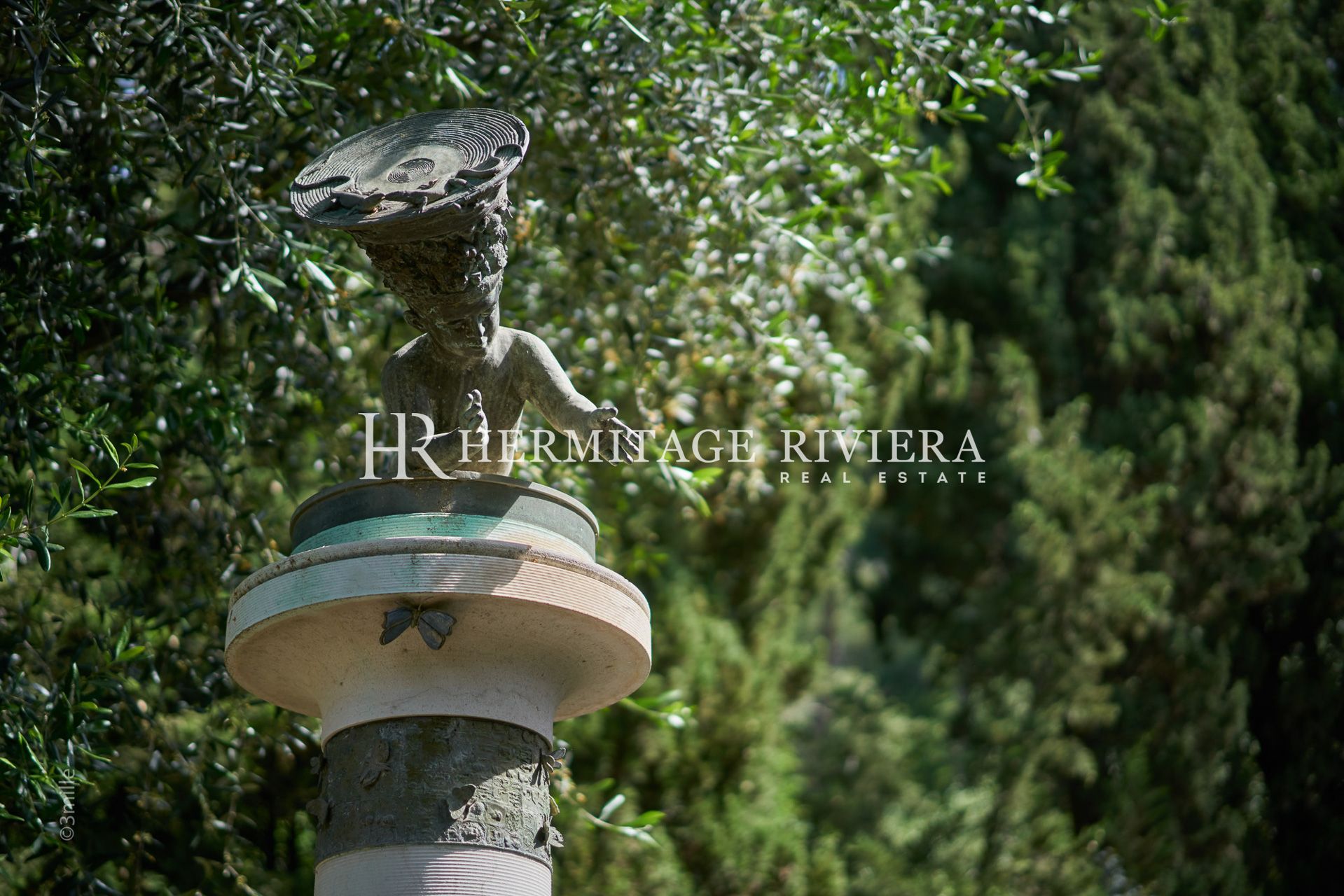 坐落在壮丽植物园中的非凡历史庄园 (图片 36)