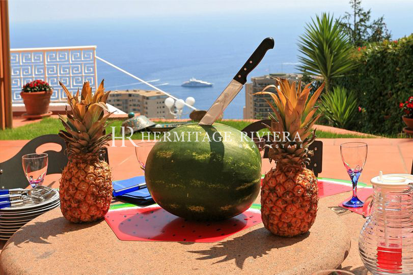 Splendid villa with views of Monaco (image 14)