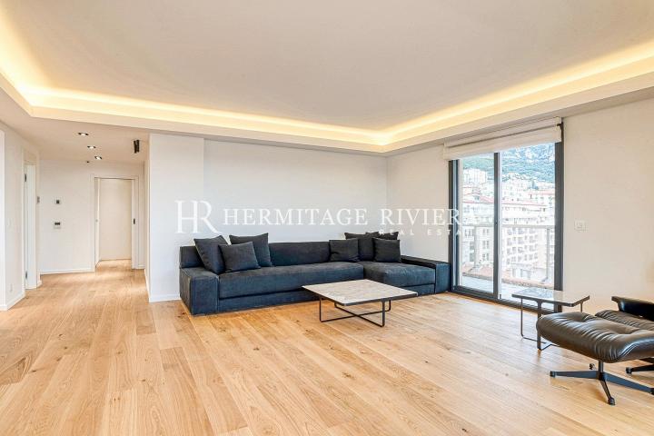 Newly renovated apartment on Monaco border (image 5)