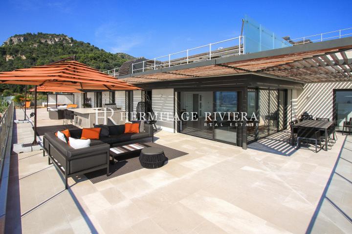 Penthouse with immense terrace  (image 3)