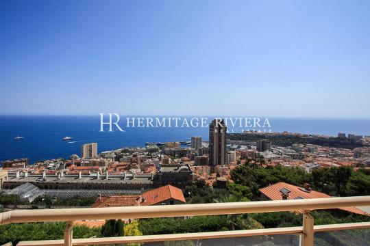 Exceptional apartment with views of Monaco