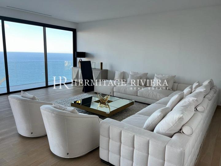 New modern furnished villa close Monaco (image 5)