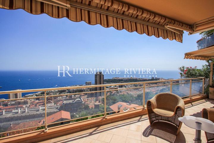 Супер апартаменты с видом на Монако и море (изображение 2)