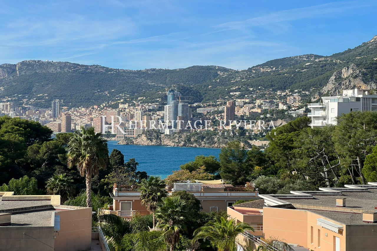 Top floor apartment with view Monaco (image 3)