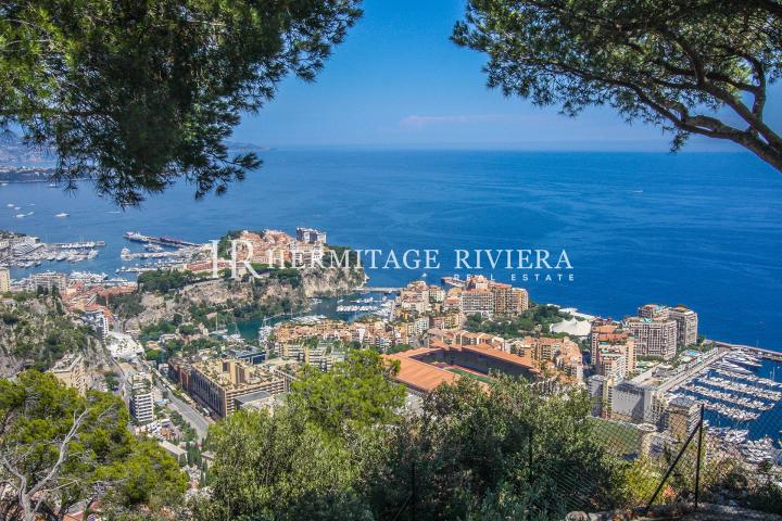 Panoramic view overlooking Monaco and Cap Ferrat (image 3)