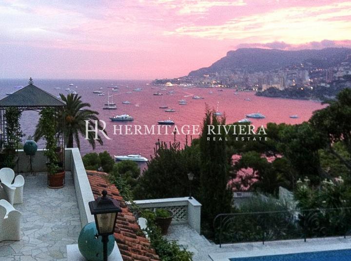 Exceptional property facing Monaco  (image 14)