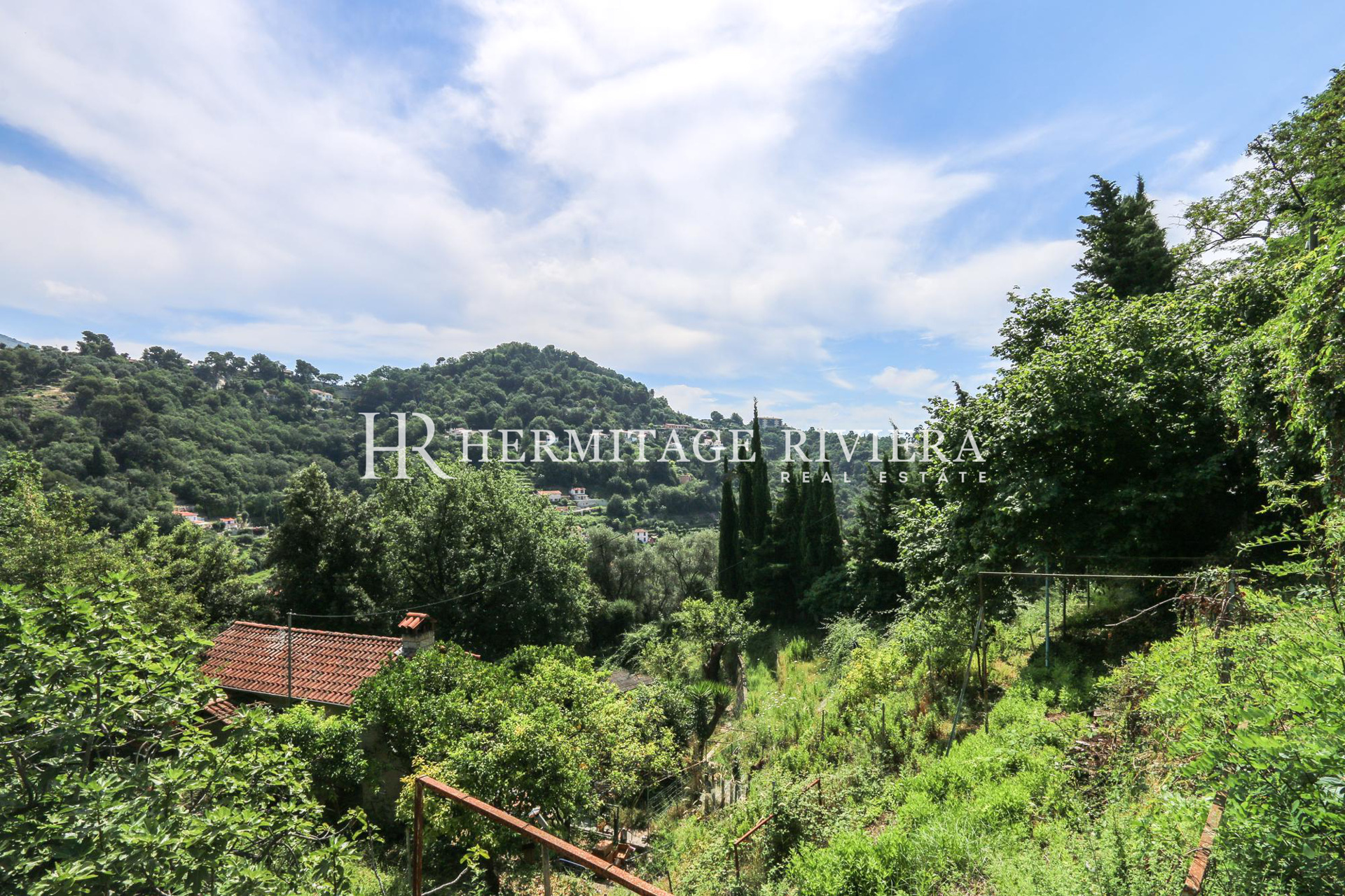 Haven of peace of four hectares (image 17)