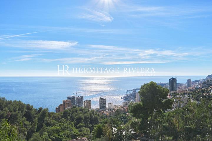 Villa with stunning views of sea and Monaco (image 13)