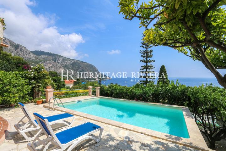 Charming villa with beautiful view (image 1)