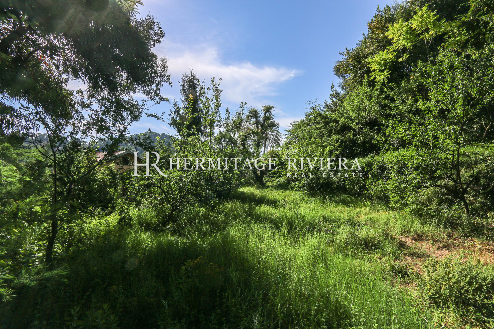Haven of peace of four hectares (image 12)
