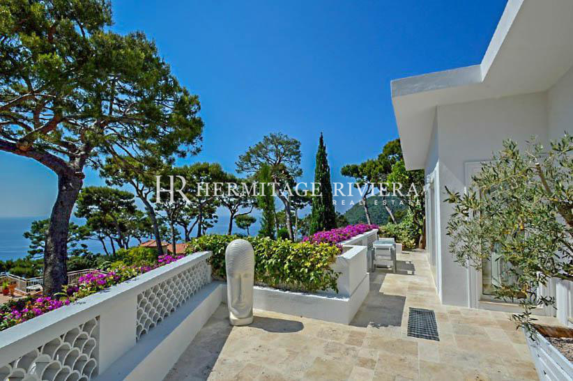 Exceptional villa with stunning sea view (image 1)