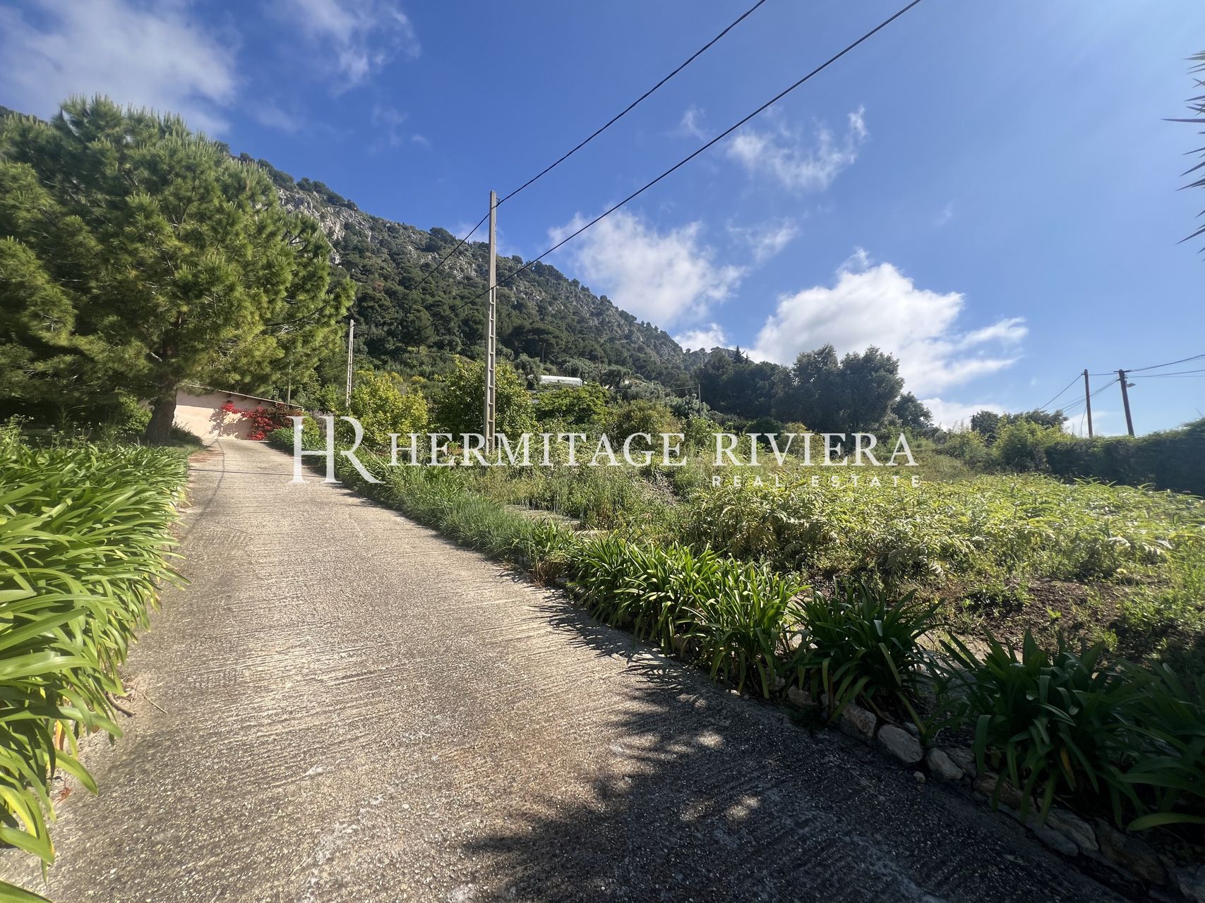 Para reformar - Jardín plano - Vistas al Cap-Ferrat (imagen 3)