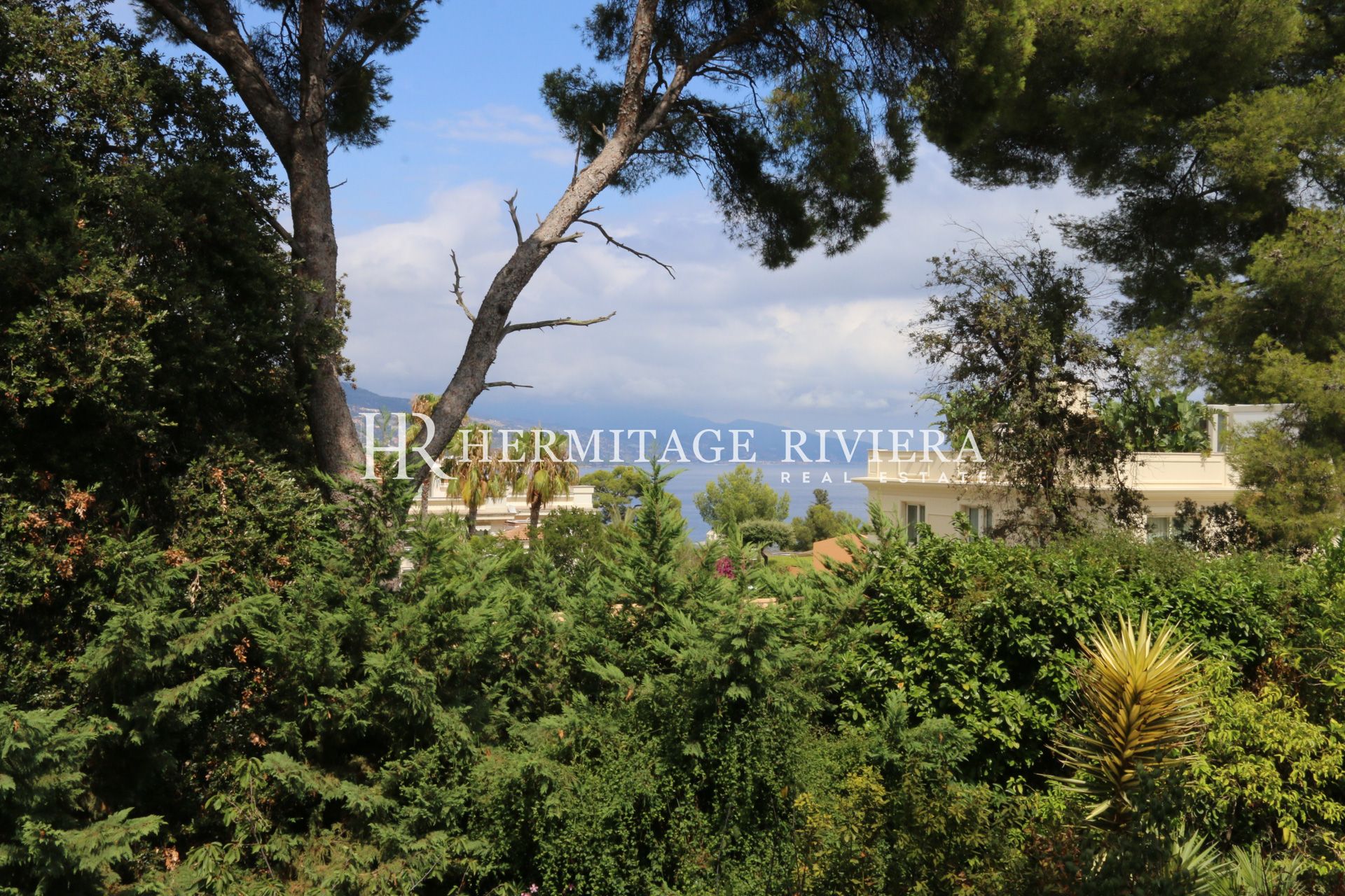 Renovert villa - Basseng - Hage - Havutsikt (bilde 2)