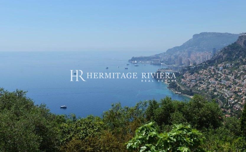 Villa in secure estate - Infinity pool - View Monaco (image 2)