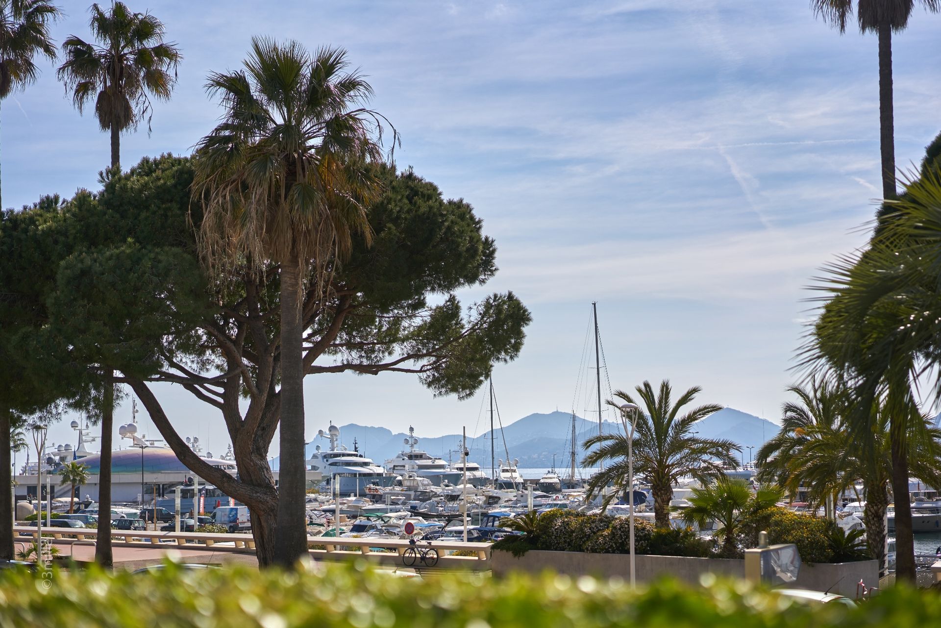 Cannes (imagen 5)