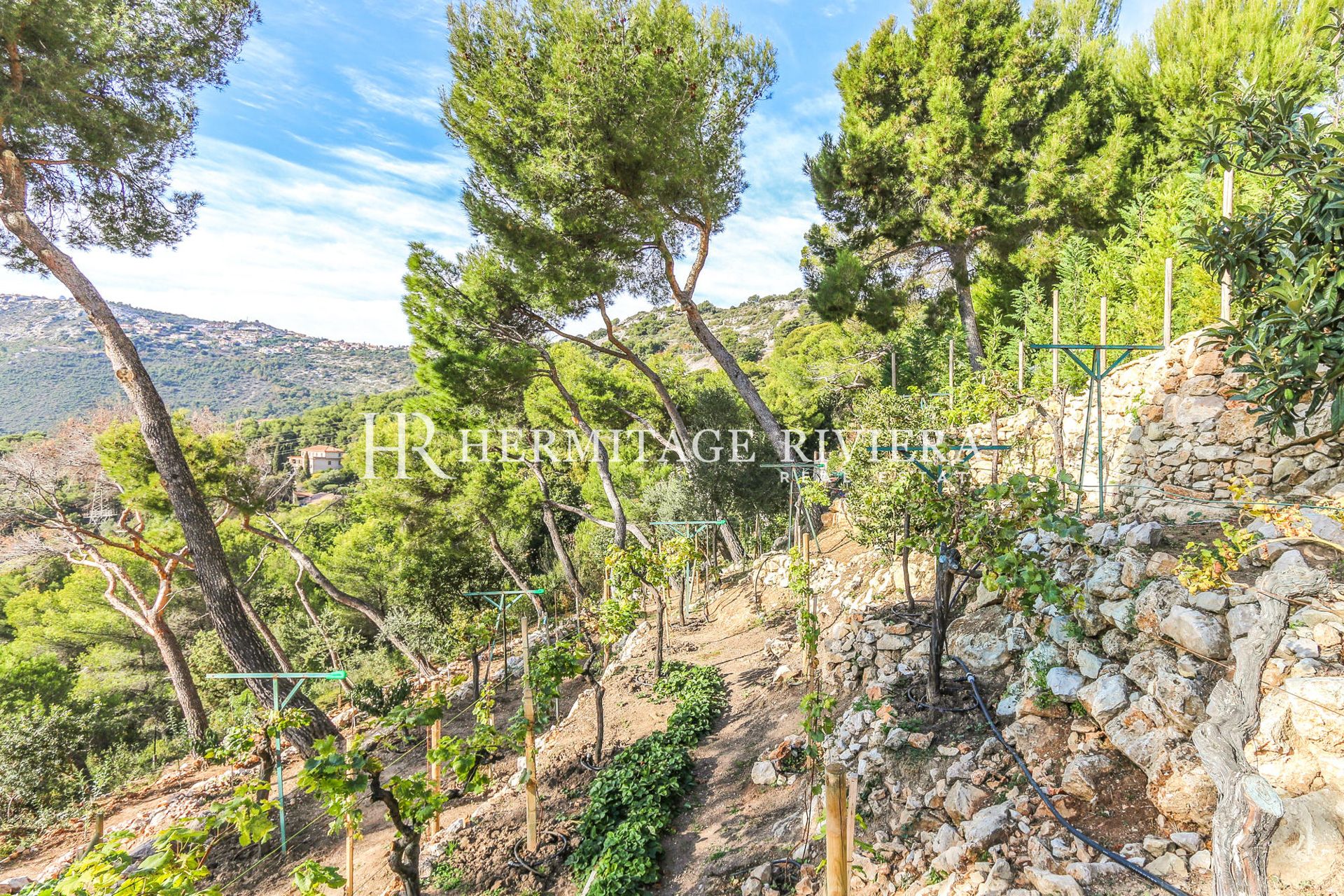 Property of two villas - Сlose Monaco - Sea views (image 9)