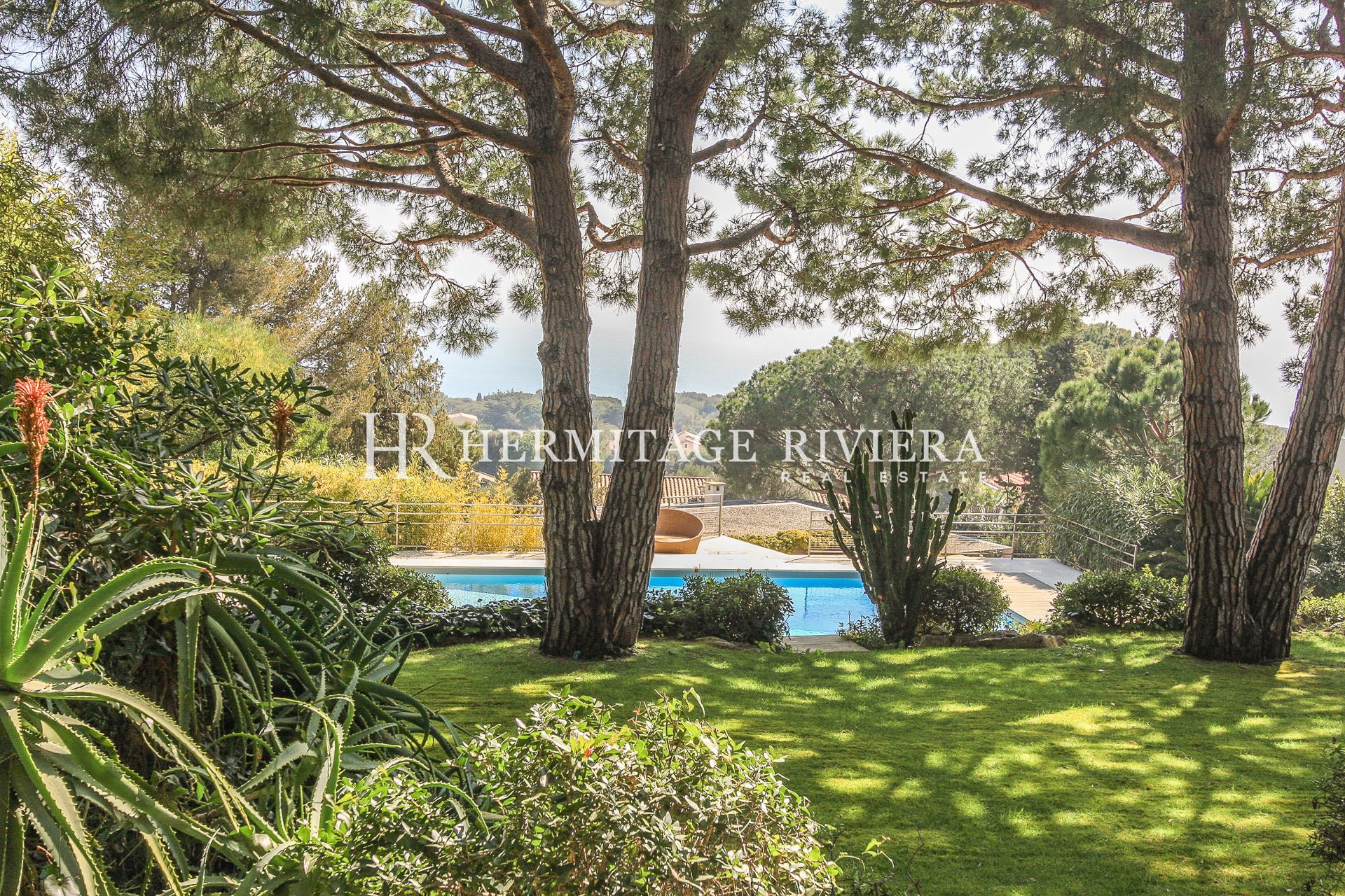 Tranquillo - splendida vista sul mare - Piscina (immagine 7)