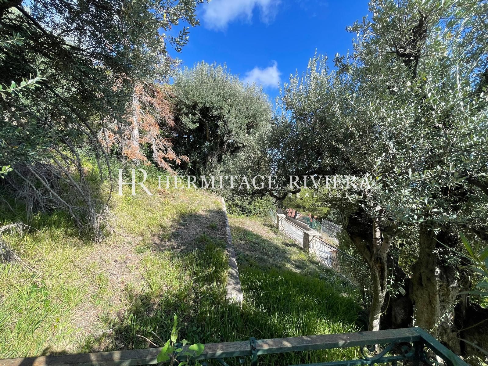 现代别墅项目 - 泳池 - 海景 (图片 2)