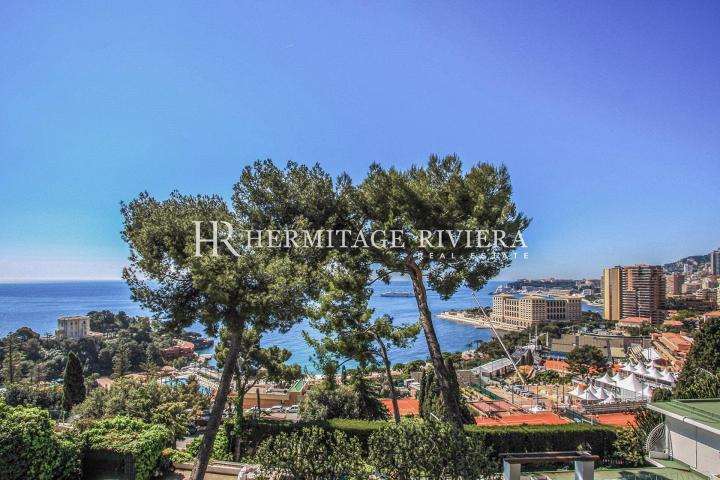 Contemporary villa overlooking Monte Carlo Beach (image 18)