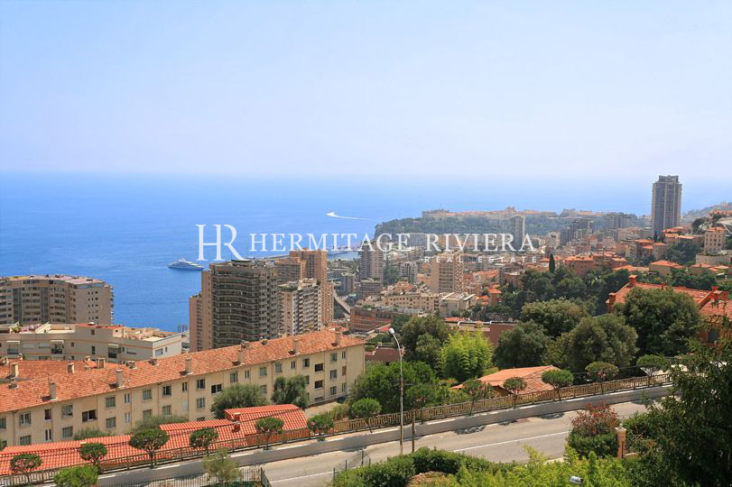 Вилла с видом на Монако (изображение 9)