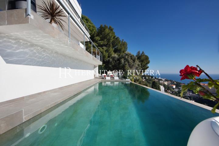 Stunning contemporary villa overlooking Mala Beach (image 2)