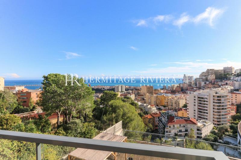 Просторная квартира с террасой и видом на Монако