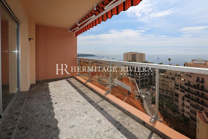 Newly renovated apartment on Monaco border (image 2)