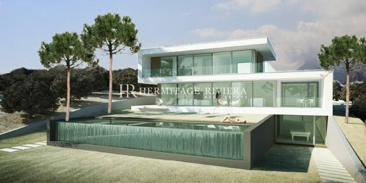 Project for modern villa  (image 1)