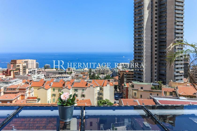 Penthouse-duplex renovated overlooking Monaco