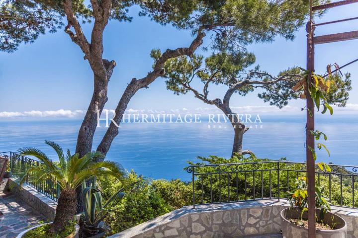 Provencal villa with stunning panoramic sea view (image 8)
