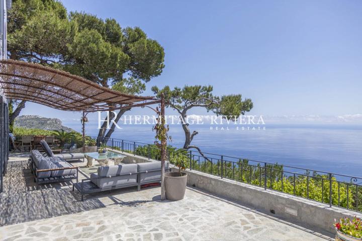 Provencal villa with stunning panoramic sea view (image 13)