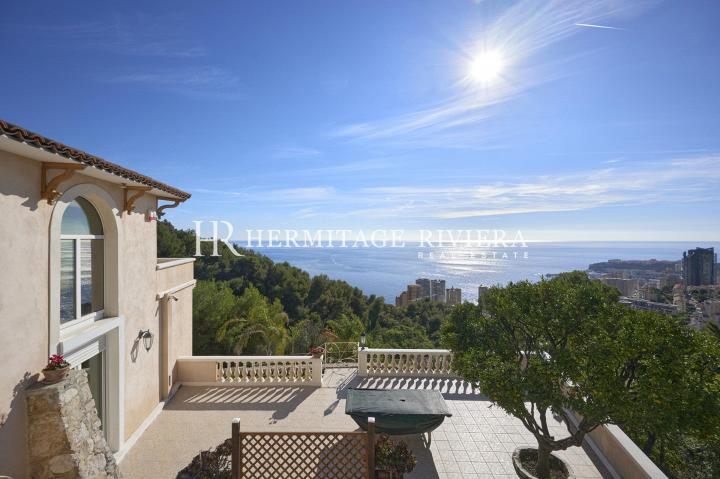 Villa with stunning views of sea and Monaco (image 3)