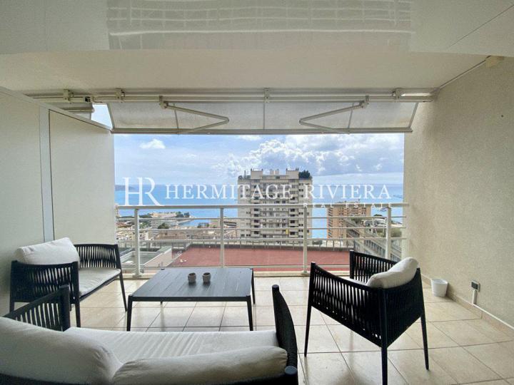 Charming apartment with Monaco view (image 1)