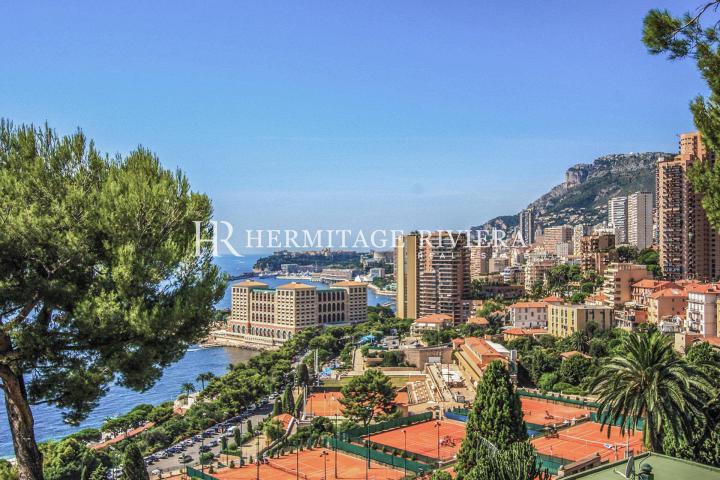 Contemporary villa overlooking Monte Carlo Beach (image 12)
