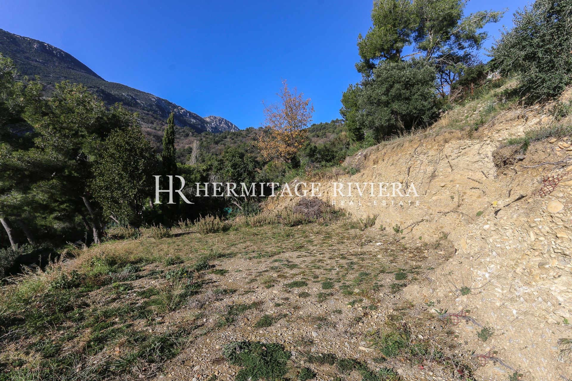 To renovate with permit - Sea view (image 15)