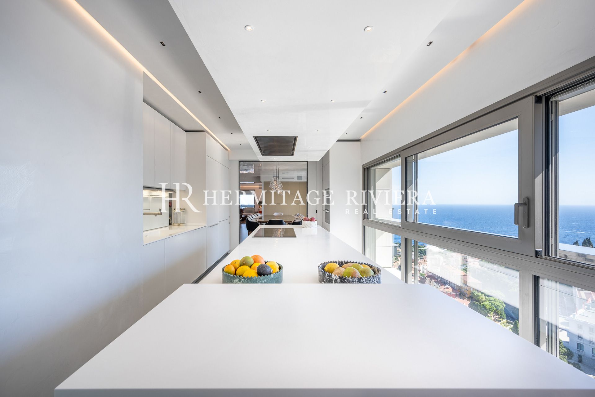 Apartment in Jardin Exotique Monaco  5 bedrooms- Terrace - Views of Monaco - Calme (image 18)