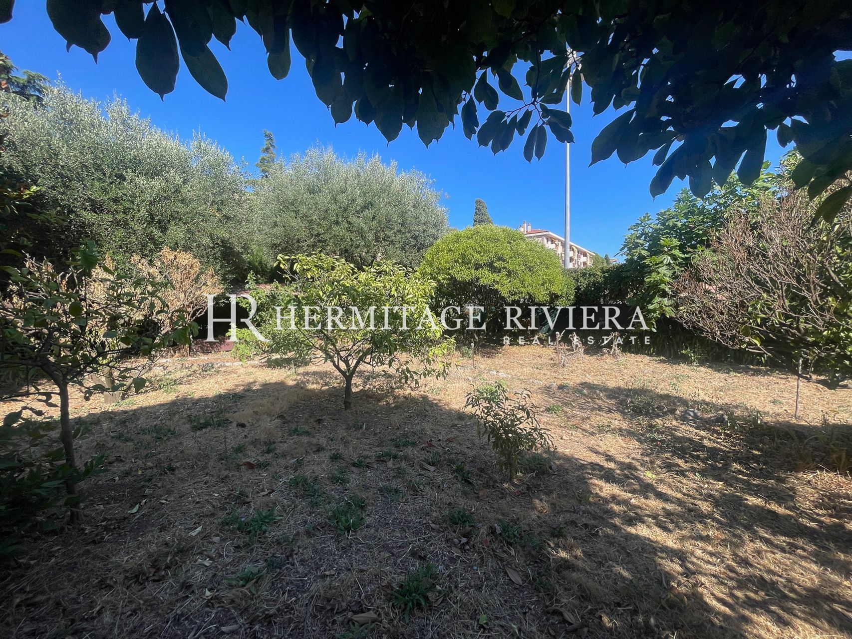 Col de Villefranche - Flat hage - Basseng mulig  (bilde 18)