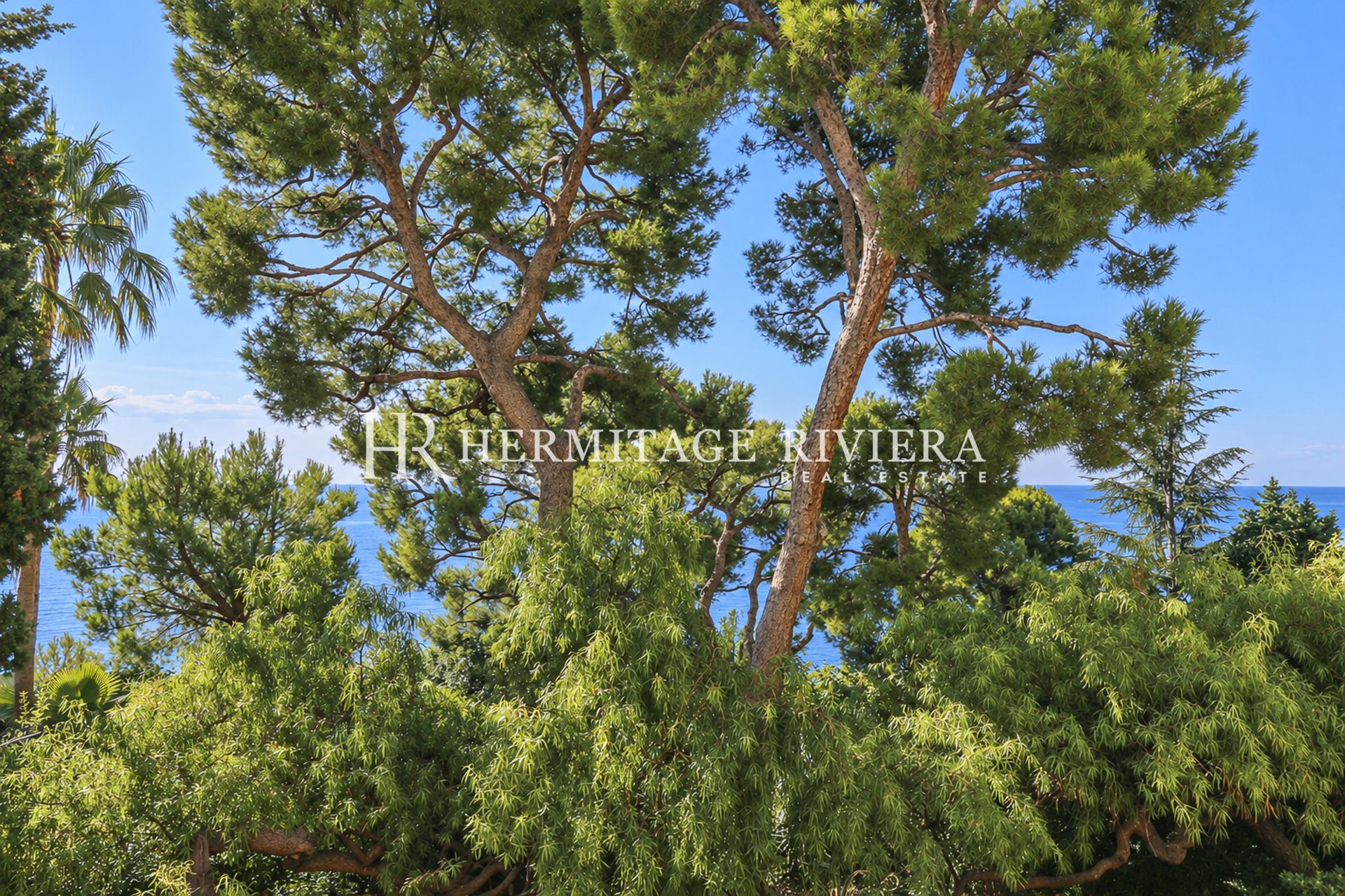 Apartment in Cap-d'Ail Close to Mala Beach & Monaco - Sea views - Terraces (image 23)