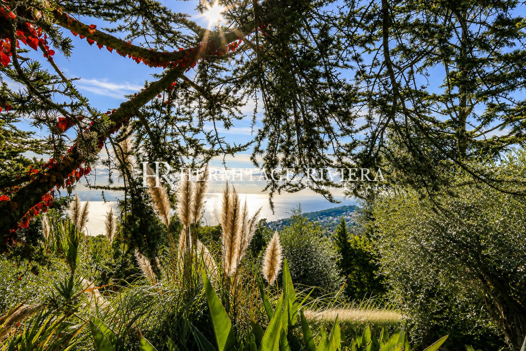 Villa i Villefranche-sur-Mer Lukket ejendom - Pool - Havudsigt (billede 5)