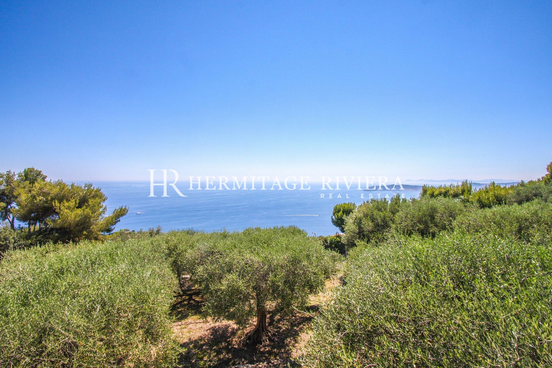 Property overlooking Monaco - Sea views - Pool - Flat garden  (image 4)
