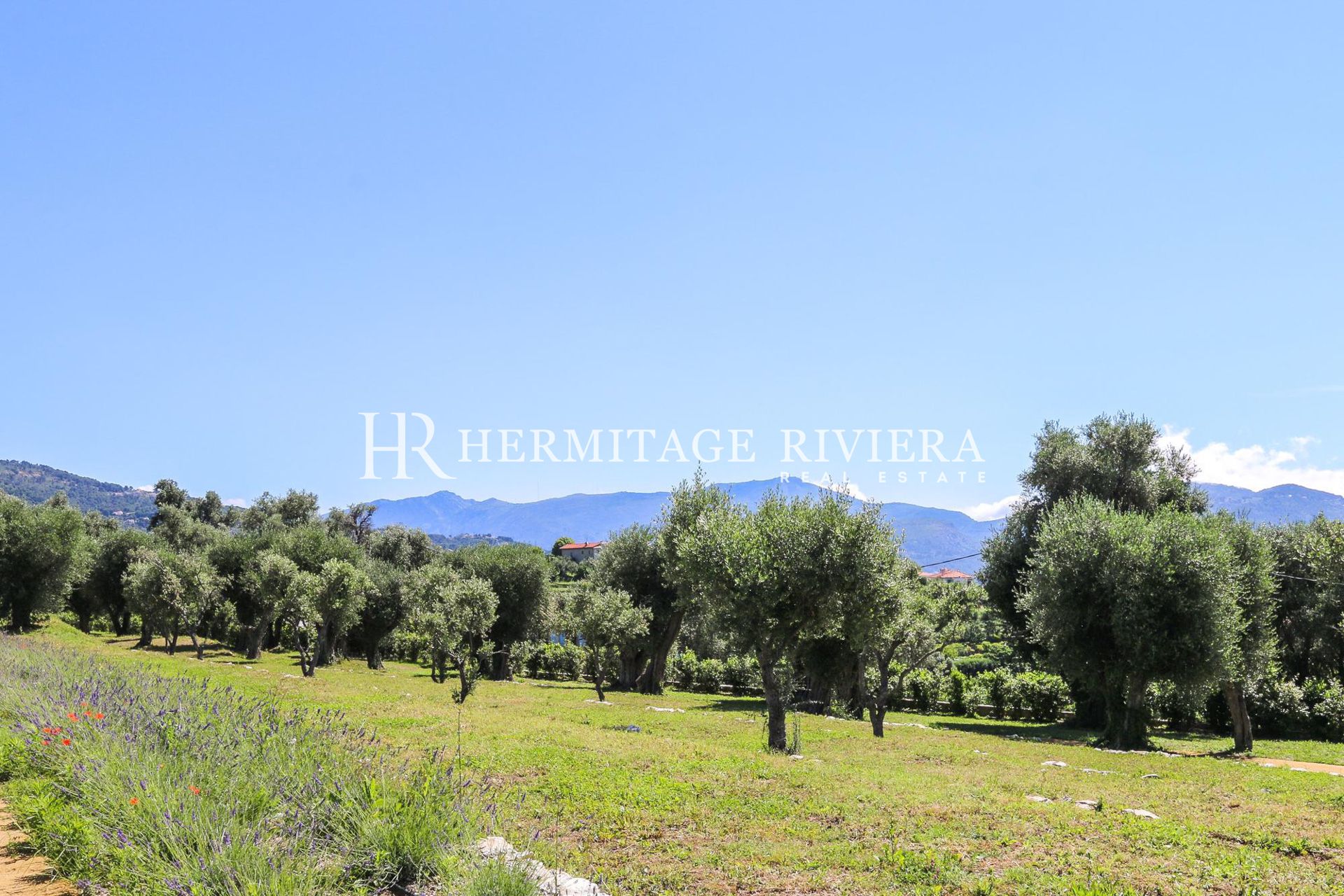 3 bedroom apartment - Luxury residence on the hills of Nice - Pool - Tennis court (image 28)